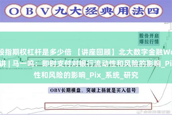 股指期权杠杆是多少倍 【讲座回顾】北大数字金融Workshop第六讲 | 马一鸣：即时支付对银行流动性和风险的影响_Pix_系统_研究