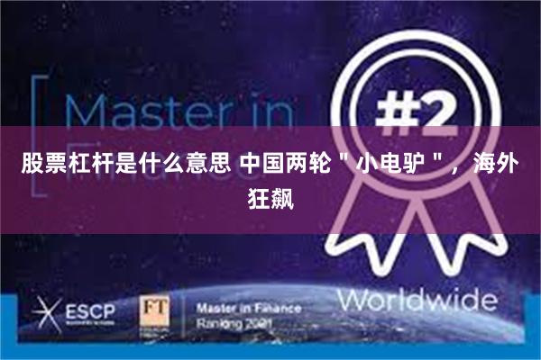 股票杠杆是什么意思 中国两轮＂小电驴＂，海外狂飙