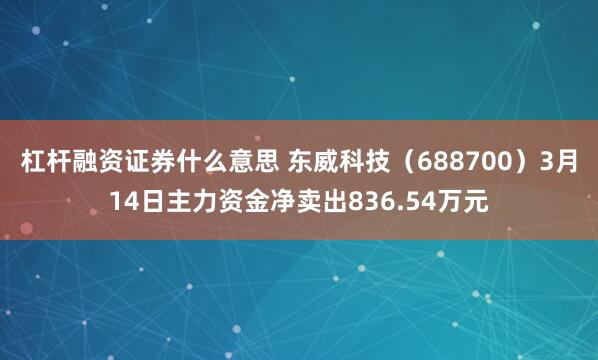 杠杆融资证券什么意思 东威科技（688700）3月14日主力资金净卖出836.54万元