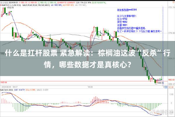 什么是扛杆股票 紧急解读:棕榈油这波“反杀”行情,哪些数据才是真核心?