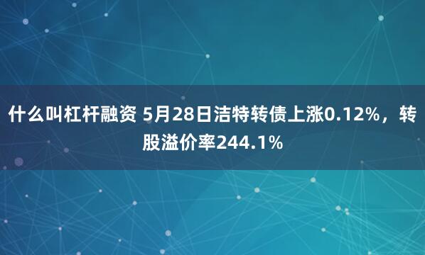 什么叫杠杆融资 5月28日洁特转债上涨0.12%，转股溢价率244.1%