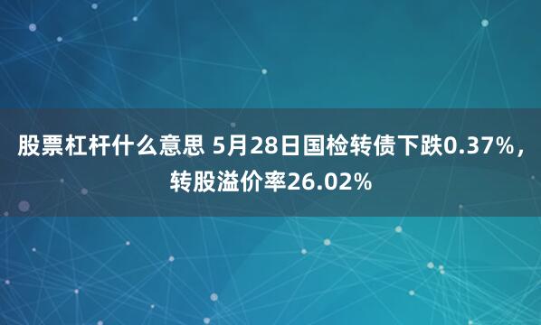 股票杠杆什么意思 5月28日国检转债下跌0.37%,转股溢价率26.02%