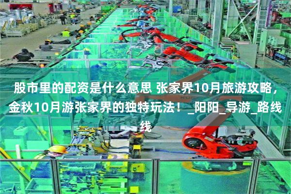 股市里的配资是什么意思 张家界10月旅游攻略，金秋10月游张家界的独特玩法！_阳阳_导游_路线