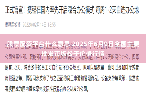 股票配资平台什么意思 2025年6月9日全国主要批发市场松子价格行情